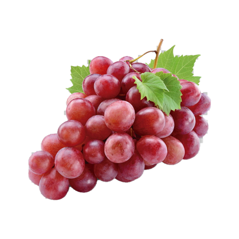 UVA CHILENA