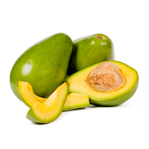 AGUACATE CRIOLLO