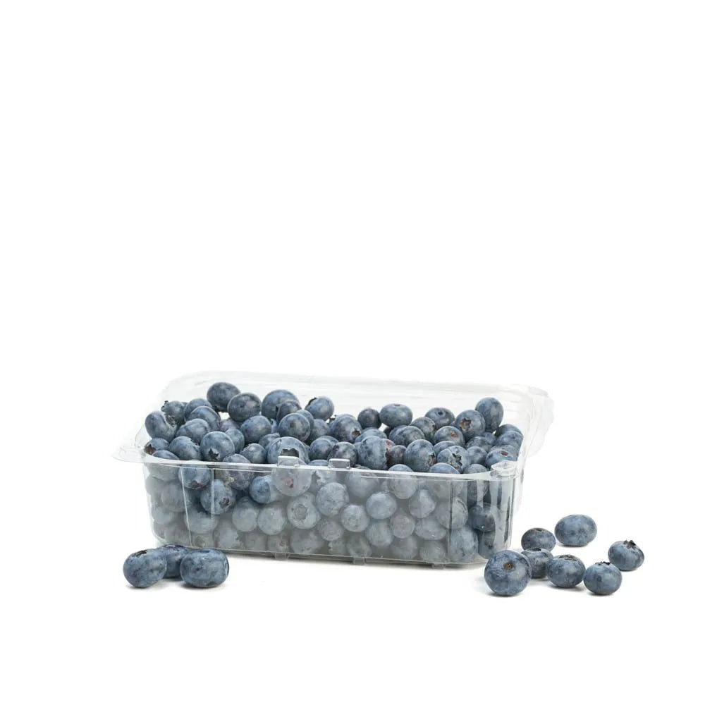 ARANDANOS 500GR
