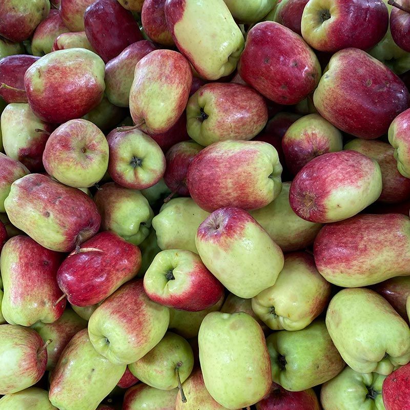 PAQUETE MANZANA DE AGUA