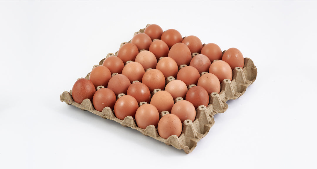 HUEVOS DOBLE AA X30 UND