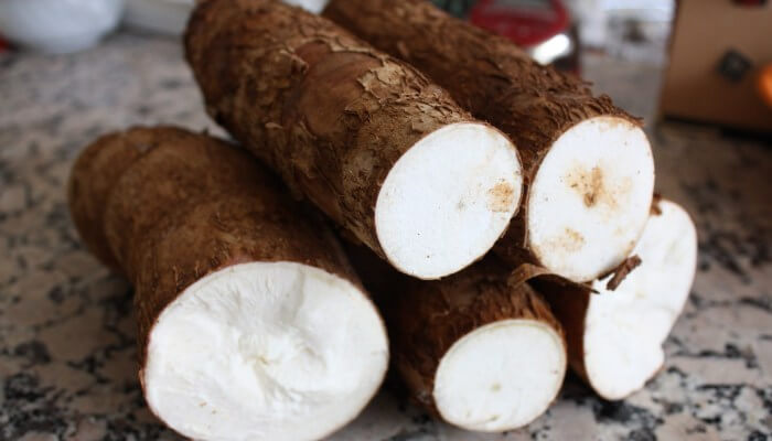 YUCA X LB