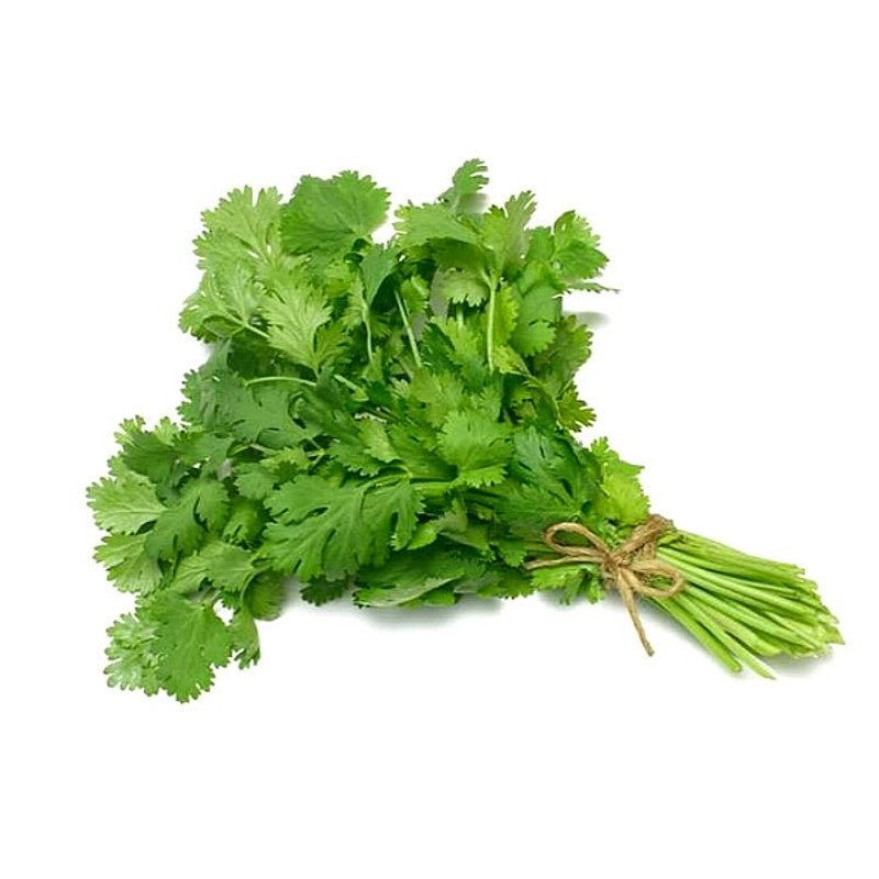 CILANTRO X UNIDAD