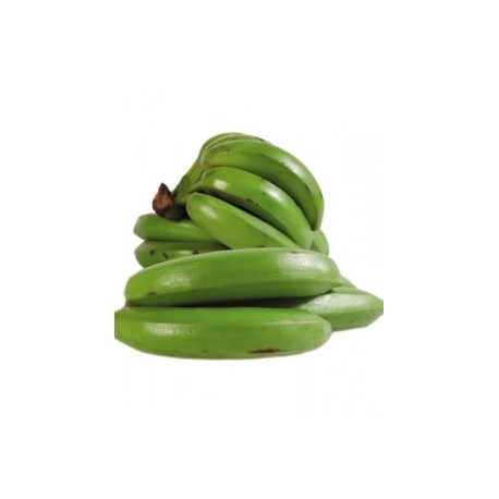 PLÁTANO COLICERO