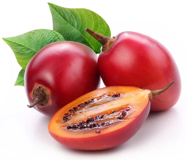 TOMATE DE ÁRBOL COMÚN