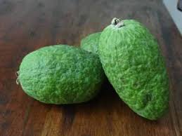 FEIJOA