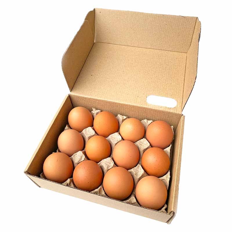 HUEVOS GENTIL CRIOLLO X UND