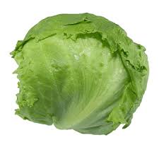 LECHUGA BATAVIA X UNIDAD