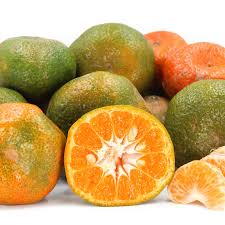 MANDARINA ARRAYANA
