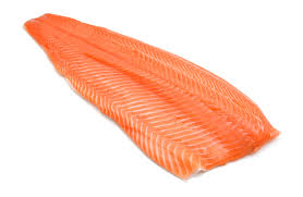 SALMON X LIBRA