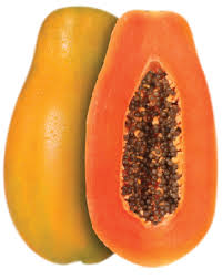 PAPAYA MARADOL