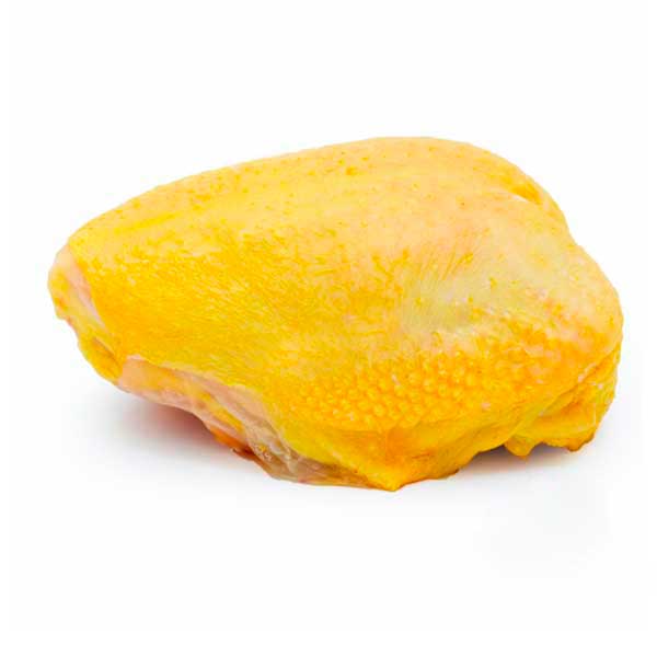 PECHUGA AMARILLA X LIBRA