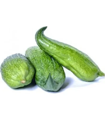 PEPINO DE GUISO X LIBRA
