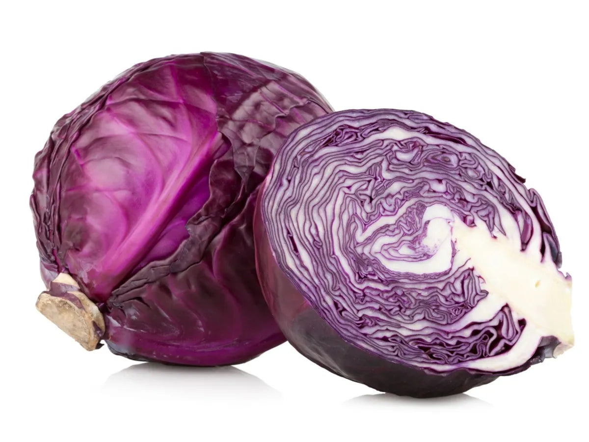 REPOLLO MORADO X LIBRA
